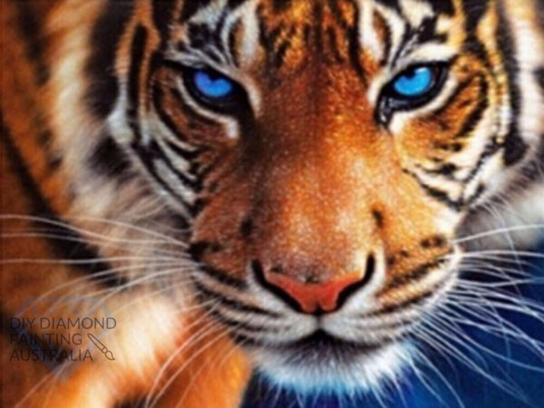 Diamond Painting Kit Full Drill Square Tiger With Blue Eyes