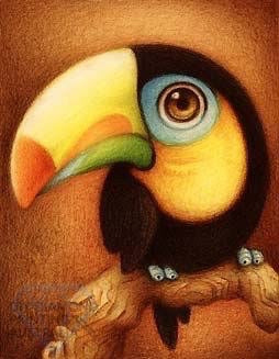 DIAMOND PAINTING KIT FULL DRILL SQUARE TOUCAN