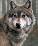 Diamond Painting Kit Full Drill Round Grey Wolf