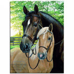 Diamond Painting Kit Full Drill Round Horse and Foal