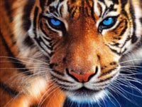 Diamond Painting Kit Full Drill Square Tiger With Blue Eyes